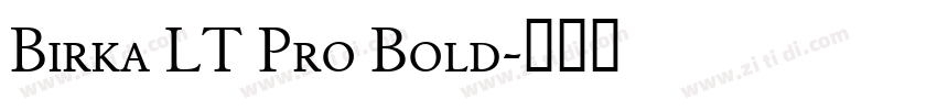 Birka LT Pro Bold字体转换